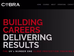Cobrauksecurity
