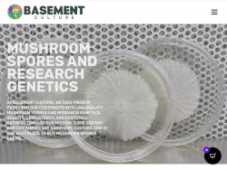 Basement-culture