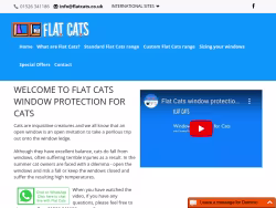 Flat-cats