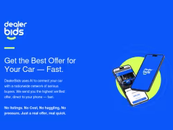 Dealerbids
