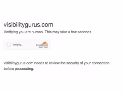 Visibilitygurus
