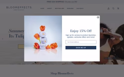 Bloomeffects