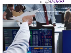 Lifeindigo