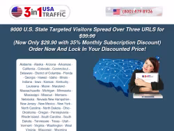 3in1usatraffic