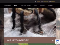 Thespidershop