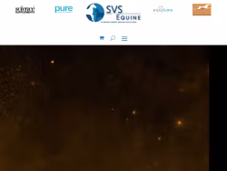 Svsequine
