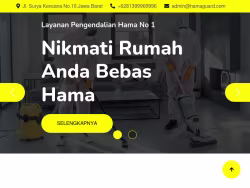 Buyrxmgpillsonline