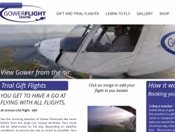 Gowerflightcentre