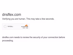Dnsflex
