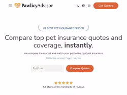 Pawlicy