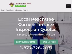 Termite-georgia