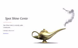 Spotshinegenie