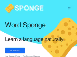 Thewordsponge