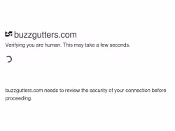 Buzzgutters