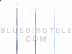 Bluebirdtelecom