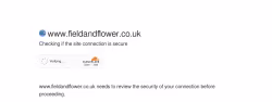 Fieldandflower