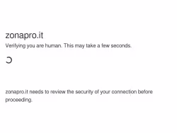 Zonapro