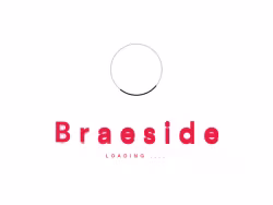 Braesidesurveyors