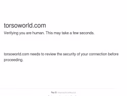 Torsoworld