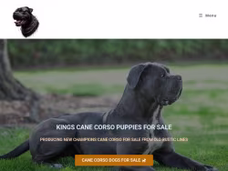 Kingscanecorso