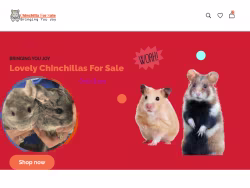 Chinchillasale