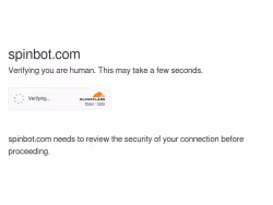 Spinbot