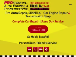 Professionalautoengines