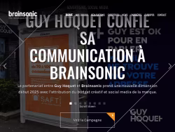 Brainsonic