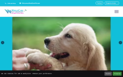worldcarepet.com