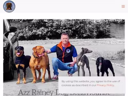 B2bcaninebehaviourist
