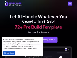 Berrydatasolutions