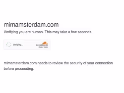 Mimamsterdam