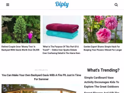 Diply
