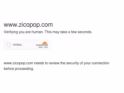 Zicopop