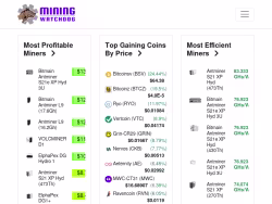 Miningwatchdog