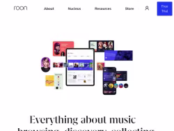 Roonlabs