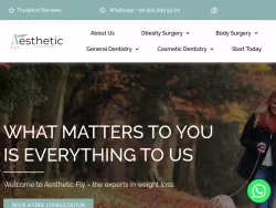 Aestheticfly