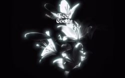 Teesgoodsshop