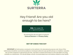 Surterra