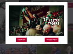 Leicestertigers