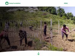 Hempfoundation
