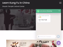 Learn-shaolinkungfu