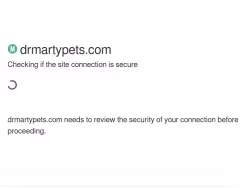 Drmartypets