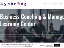 Synbridg