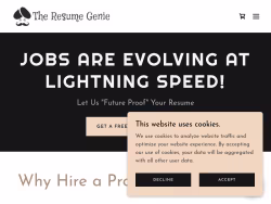 Theresumegenie