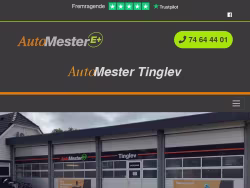 Automester-tinglev
