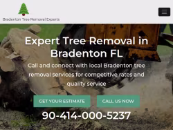 Treeremoval-bradenton