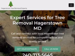 Treeremoval-hagerstown