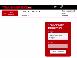 Trainarriere