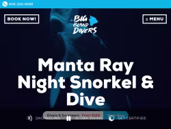 Bigislanddivers